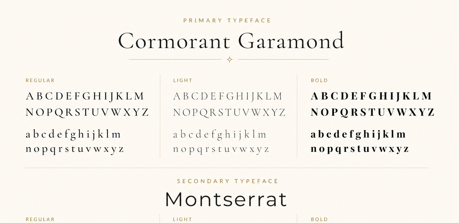 Delivered typography guideline excerpt showing serif and sans-serif letterform specimens
